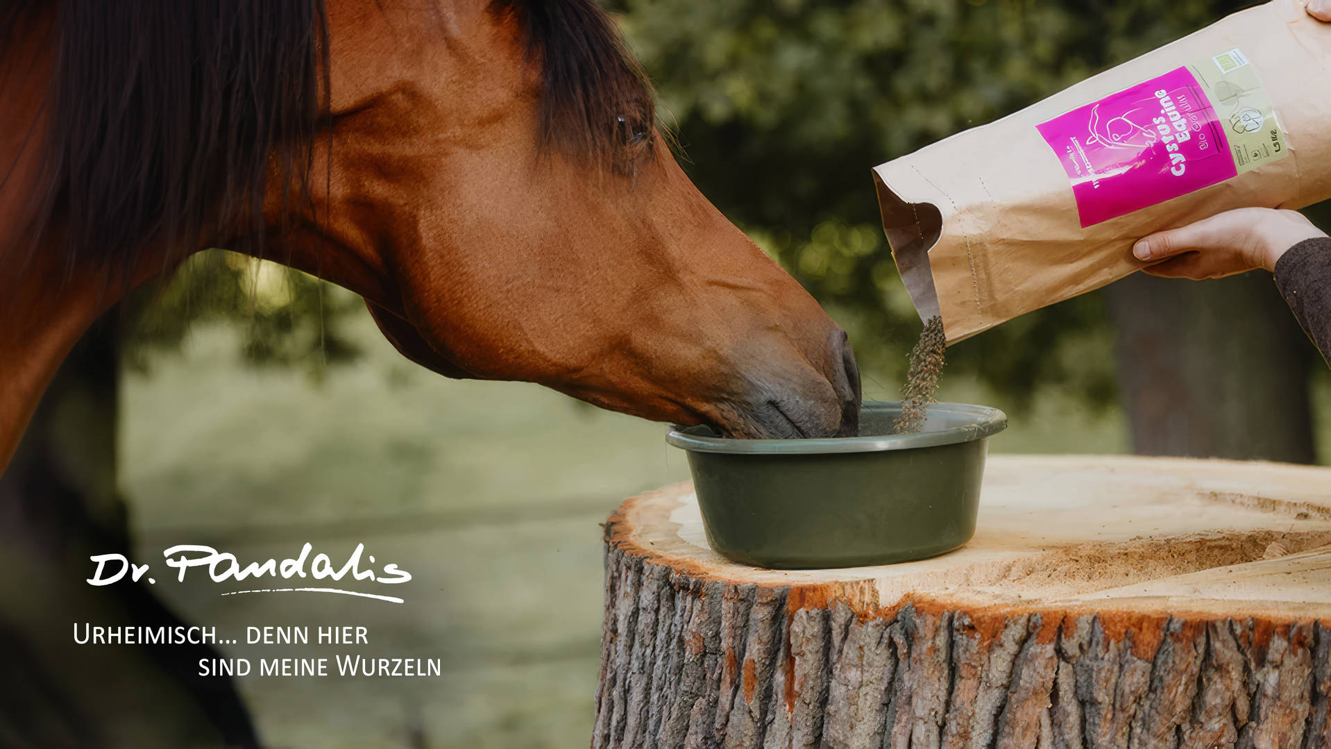 Tiergesundheit Dr. Pandalis