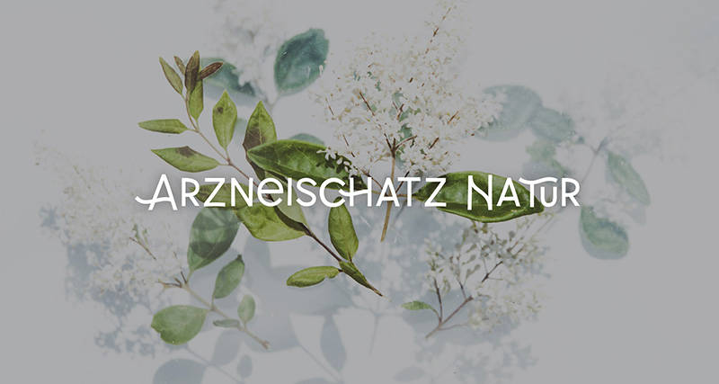 Arzneischatz Natur